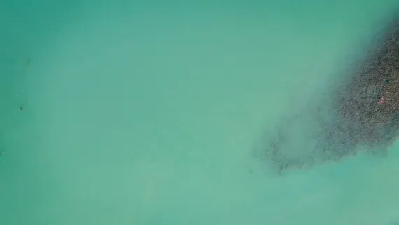 Kaszinó Lucky Luke Támogatás